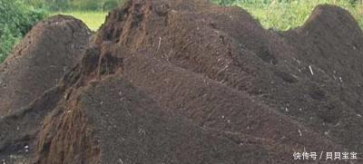 排泄物|你们知道养花用什么土最好吗?这四种土,越种越好看!