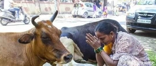 在印度吃牛肉有什么下场?网友:毕竟牛儿