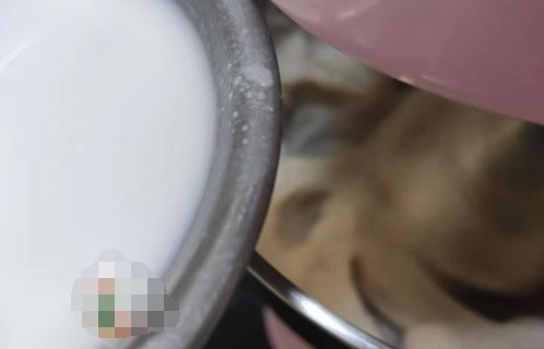 葱姜水|这菜可以提前做好,我一做就是一大锅,烫一烫就上桌