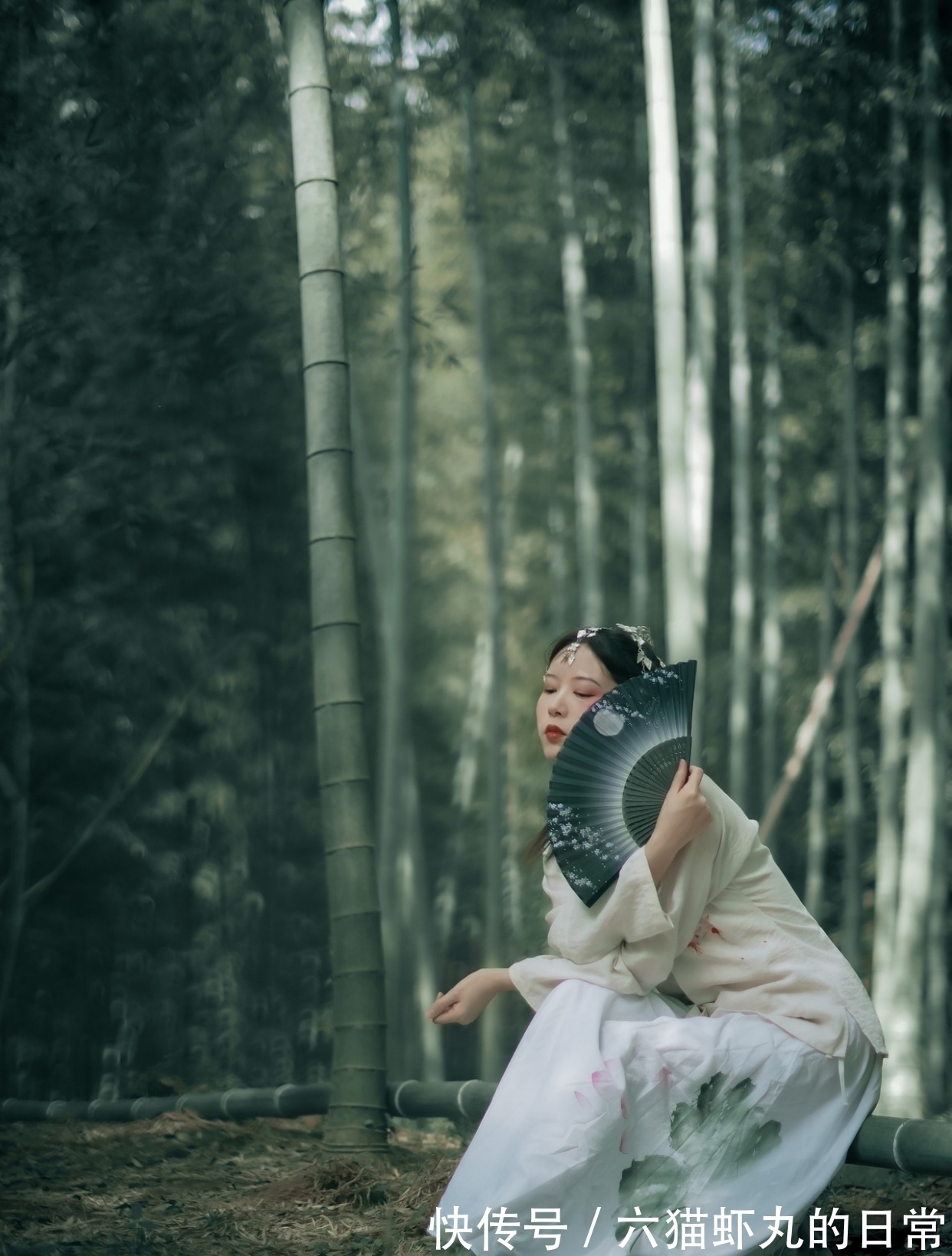 修贤!七绝·十九首丨个中思念寄鱼雁,每问海棠无恙乎?