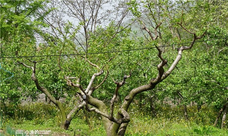 秦岭|陕西秦岭深处神秘院子，曾是荒废的厂房宿舍，注定有段不平凡的经历