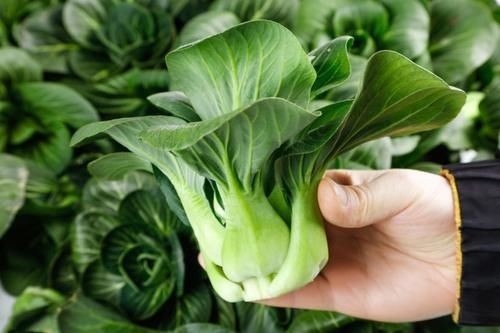 甘油三酯|56岁大妈甘油三酯过高，每天吃一果，血液不稠，血脂“悄悄”降了