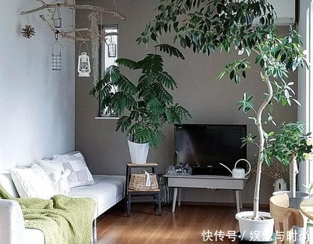 小两口之家,全屋布满绿植鲜花,把生活过成了诗,太美太治愈了!