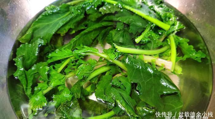 吃萝卜|此菜营养极高,很多人只吃果肉,其实叶子才是宝贝,蒸一锅太香了