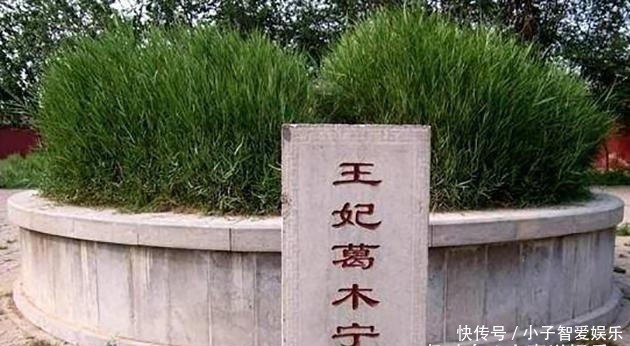 永乐&菲律宾国王后裔守墓600年，世代居住中国，已是地地道道中国人