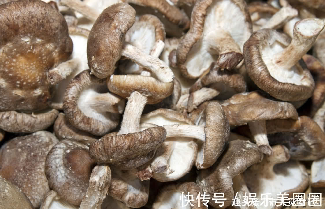 裂纹|买香菇,不是越大越好,记住“3买3不买”,香菇香味浓郁又新鲜