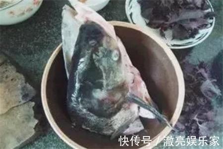 花儿|夏季到，往君子兰盆里加点特制水，花儿呼呼开满盆