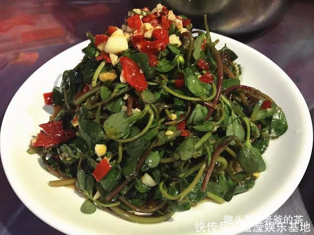 马齿苋炒鸡蛋|在农村有一种晒不死的长寿菜，市场要卖10元一斤，自己去采不花钱