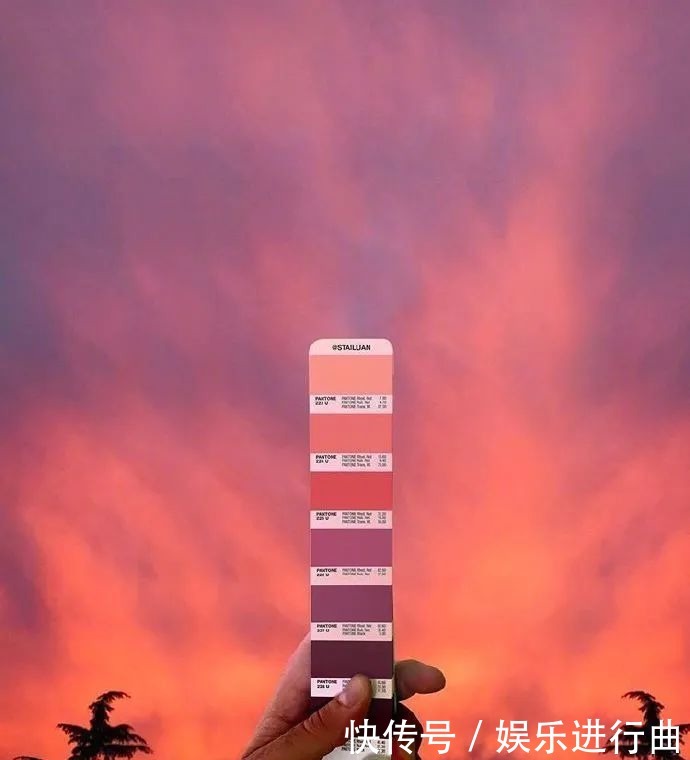 参考|配色参考|INS博主超有趣的自然高级配色!插画设计存起来!