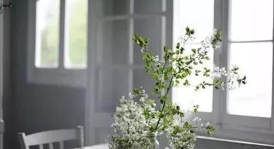 灰指甲|一把花椒能治8种病,赶走了一身湿气,80岁也能无白发!