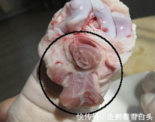 同样是猪蹄,要学会区分前脚和后脚,两种猪蹄,口感上差别很大