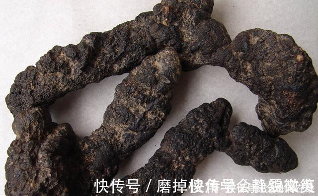 泽泻|有一味中药取名不太雅,善于利水祛湿,去湿气诸药“无如此快”