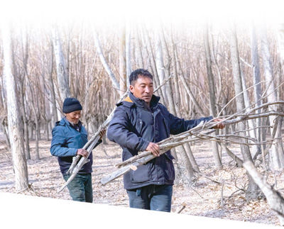 雅鲁藏布江|开展植树造林、退耕休牧，加大雅鲁藏布江保护力度守高原生态 护大河奔腾（大江大河·雅鲁藏布江）