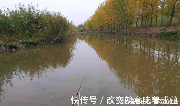 钓位|冬季钓鲫鱼,先别着急下竿,两大策略帮你找鱼窝,不愁钓不到鱼!