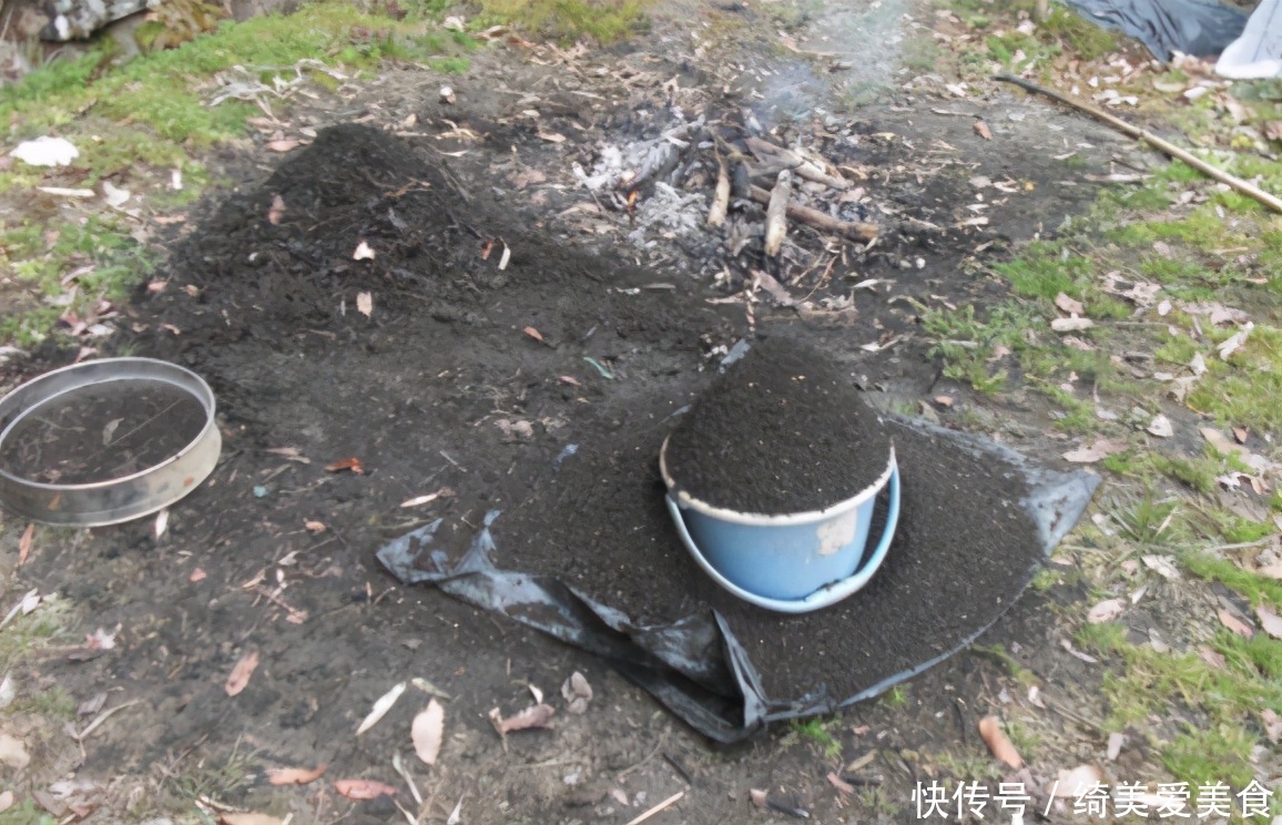 茶叶|生活中哪些材料富含钾元素,该怎么处理拿来养花?