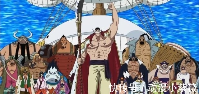 白胡子|海贼王: 四皇团死掉5个干部, 白胡子团死了3个皇副, 大妈团也很惨