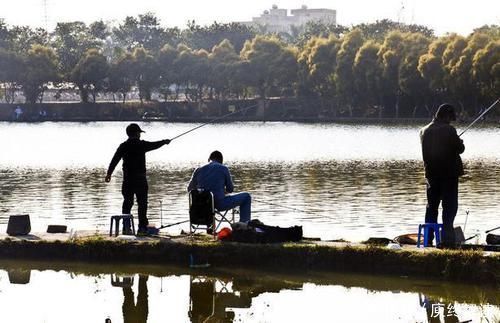 浮漂|野钓河里鱼真多,就是不吃饵,有些情况就是钓鱼人自己造成的