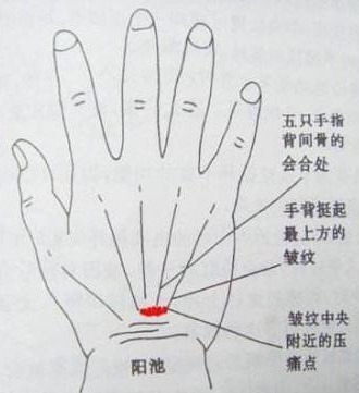 苦瓜泡水|血糖高的人，少吃3种食物！控制好血糖，谨记喝3水，动3处