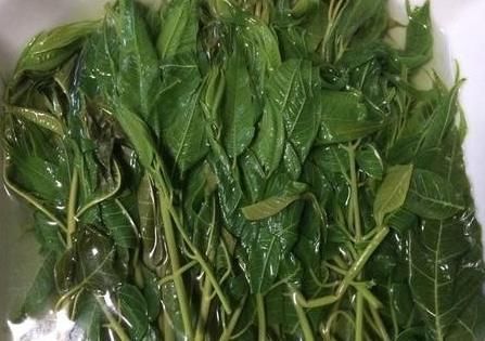 腌香椿，香椿要不要焯水？十几年老方法教给你，放一年都脆嫩鲜香