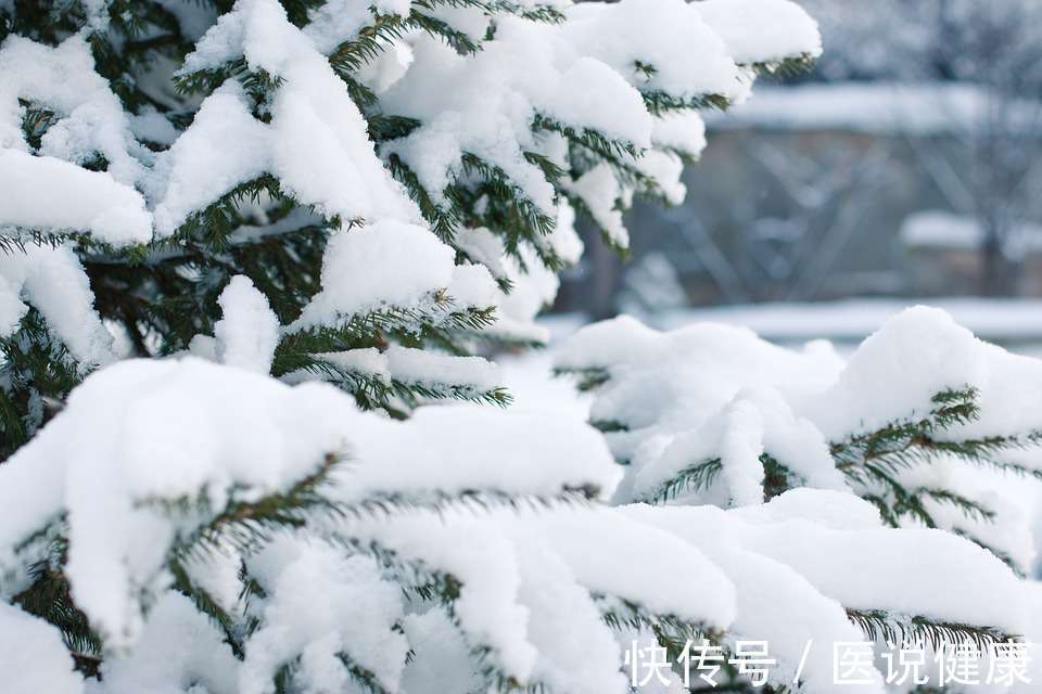 冬到春|岁末大寒至，节气轮回时？一年中最冷的日子里，劝你做好5件事