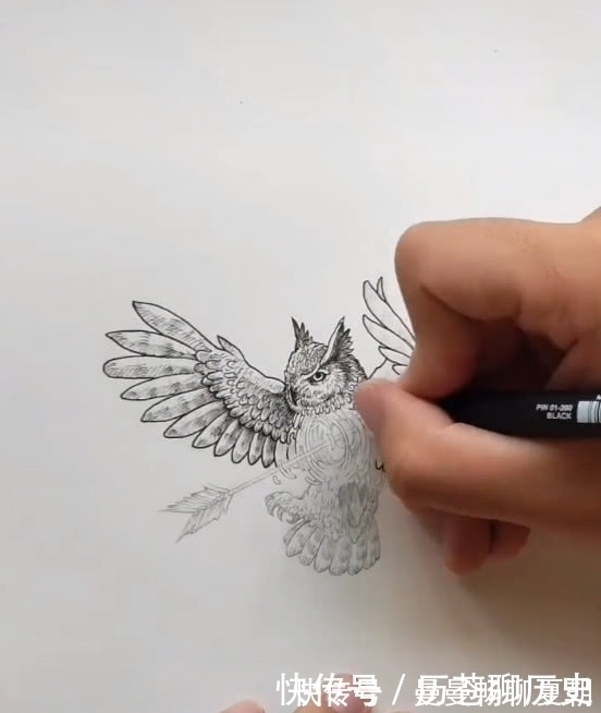 射雕英雄|美术生画射雕英雄,网友以为是郭靖,成品却是受伤的小鸟