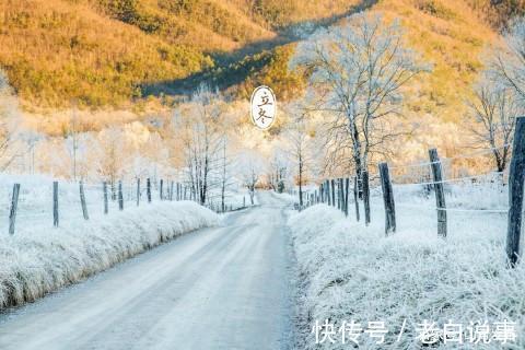 红叶&昨夜清霜冷絮裯,纷纷红叶满阶头