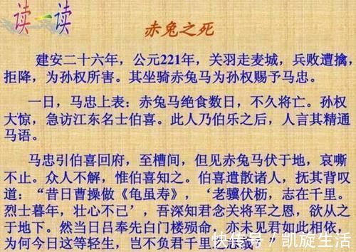 赤兔马|当年高考写下文言文《赤兔之死》的考生，19年过去，现状如何？