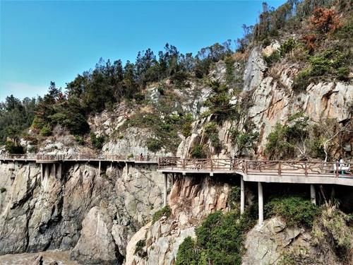 山村|温州有座海岛，沙滩捡完海菜回家洗洗就能吃，最适合春节假期前往