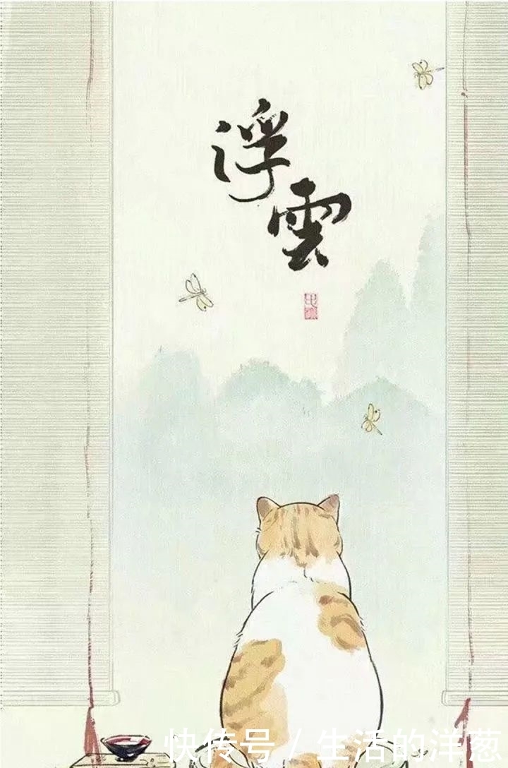 配不上|原来的壁纸已经配不上你的iPhone12了,快来换新的猫咪壁纸