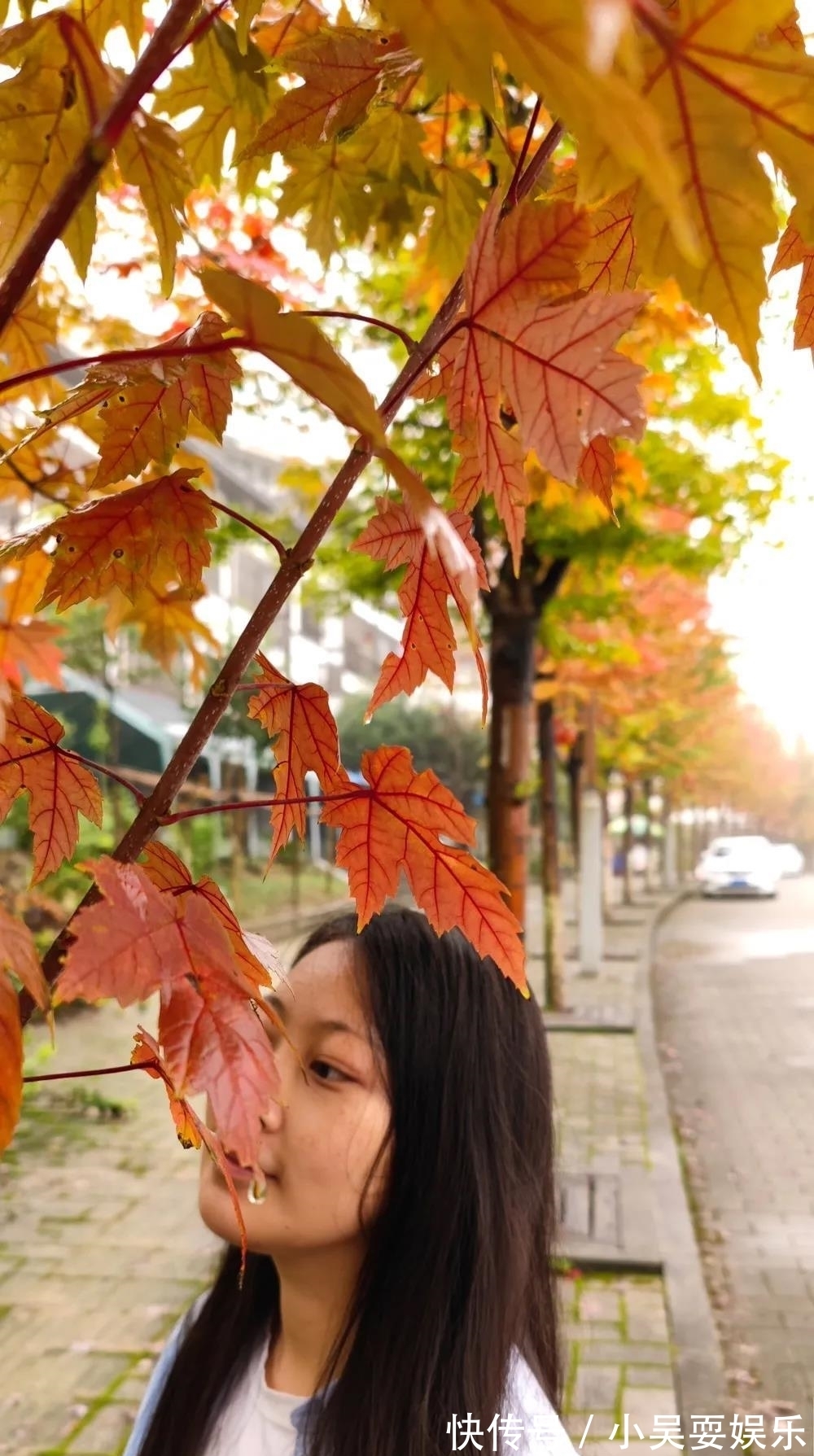 枫叶|平昌这里的枫叶红如火，快约！