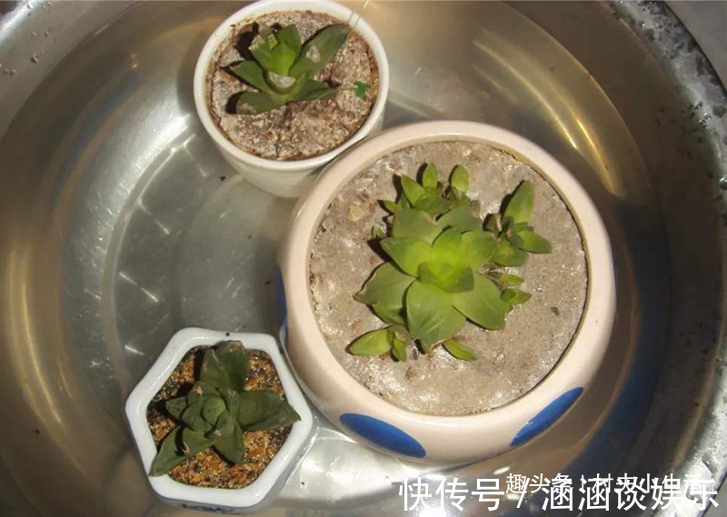 食用油桶不要扔,清洗干净改造一个神器,家家户户都用得上