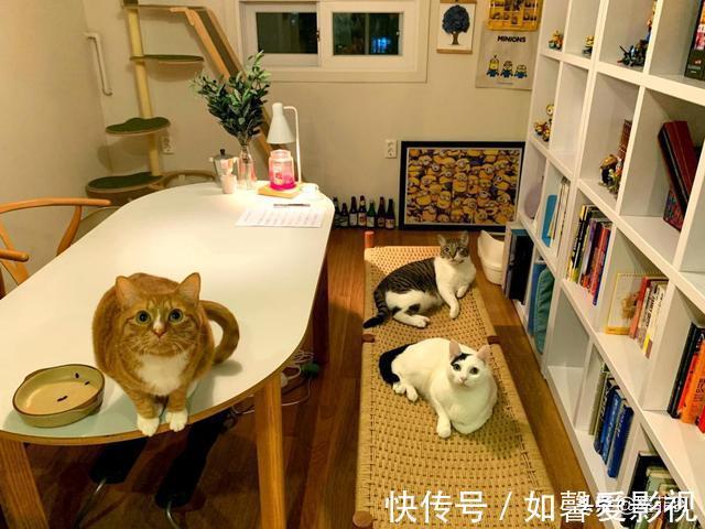 卫生间|90后姑娘晒出新房:66㎡像入住了10年,一开门网友评:满屏脚臭