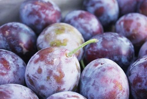 提高免疫力|夏天养生吃的食物,排毒养颜、延缓衰老,有效提高免疫力