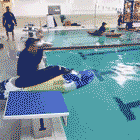 |搞笑GIF图片趣图:这种材质,男孩子们最喜欢