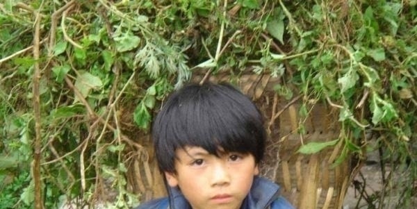 原则|学会10条原则,父母轻松又安逸,好孩子不在是别人家的