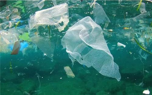 探测器 地球海洋深处有什么探测器下潜有新发现,海洋生物有灭绝的风险