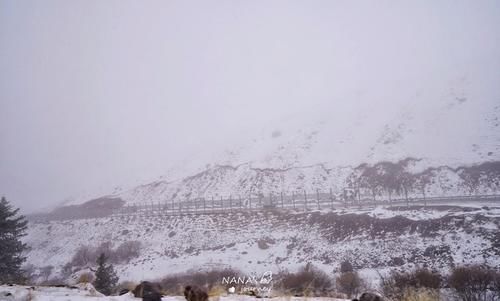 在新疆遇到暴风雪是什么样的体验？风景极美，路却很难开