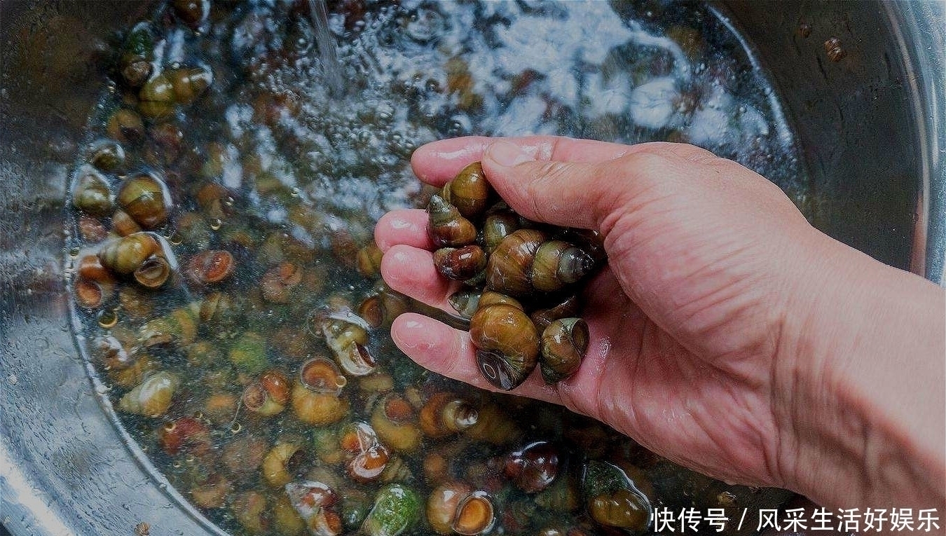 螺蛳|天热之后钓青鱼，就按我说的办法配饵料，咬钩的都是大家伙