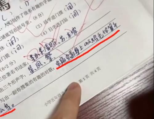 “蝙蝠身上插鸡毛，算什么鸟”小学生写歇后语火了，老师哭笑不得