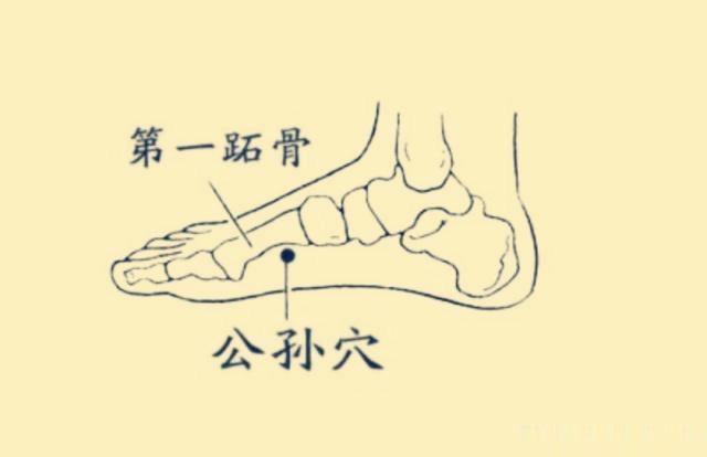 胃气|一张治“大便不成形”的穴位方!三个穴,里应外合,调节升降
