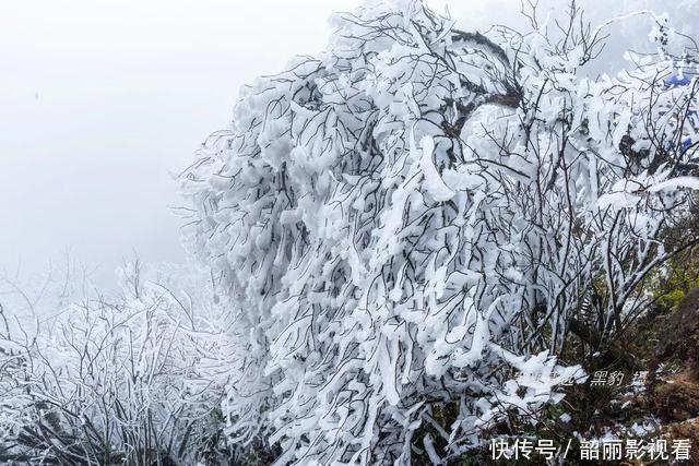 广东第一峰“下雪”啦，玉树琼楼美得让人心醉