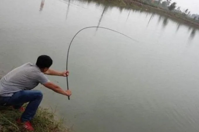 鱼钩|高手才不会说：鱼钩上只要加它，不管在哪钓，一根竿都忙不过来