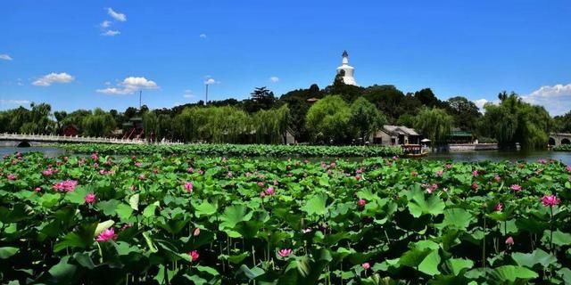 早樱|从气象角度看“双奥之城”北京，哪个季节最美?