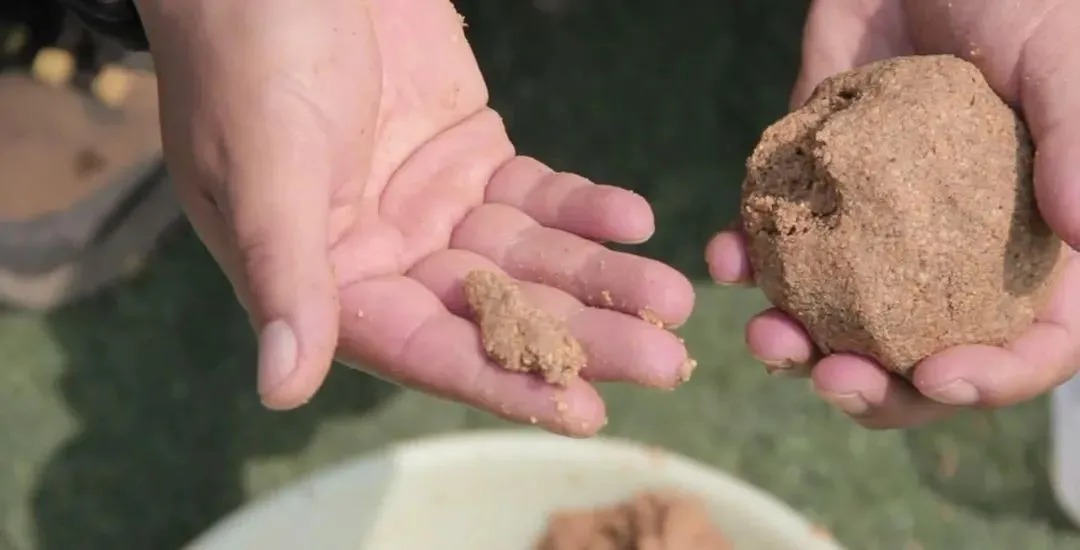 秋季钓鱼如何打一个“够劲”的窝?其实很简单,但很多钓手不去做