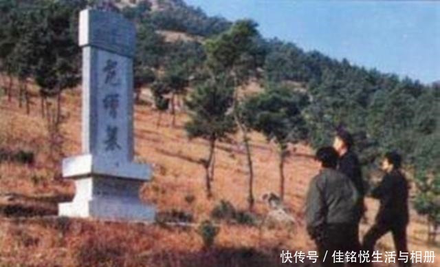 刘邦|若是范增不被项羽撵走, 项羽能夺得天下吗 答案让人诧异