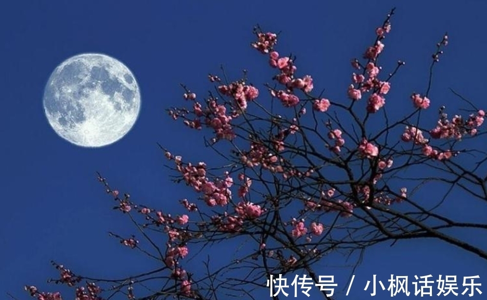 烛花红#辛弃疾很落寞的一首词,短短4句,写尽壮志难酬的无奈,令人叹息