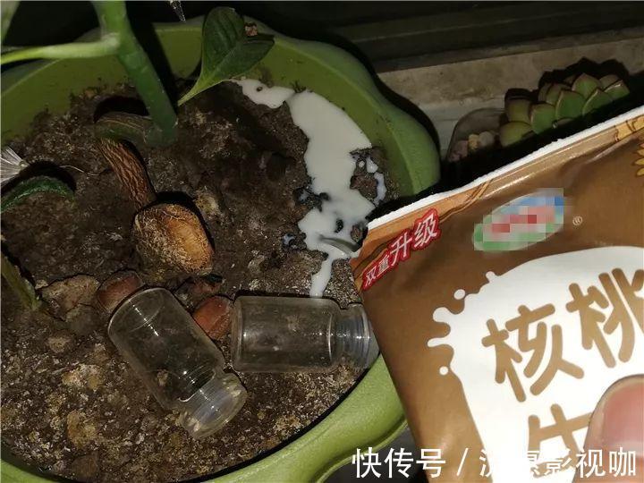 10个养花的坏习惯,赶紧改,不然真是浪费钱!