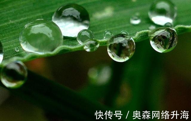 金璋|精选十二首带雨露的古诗词, 美到心醉, 分享