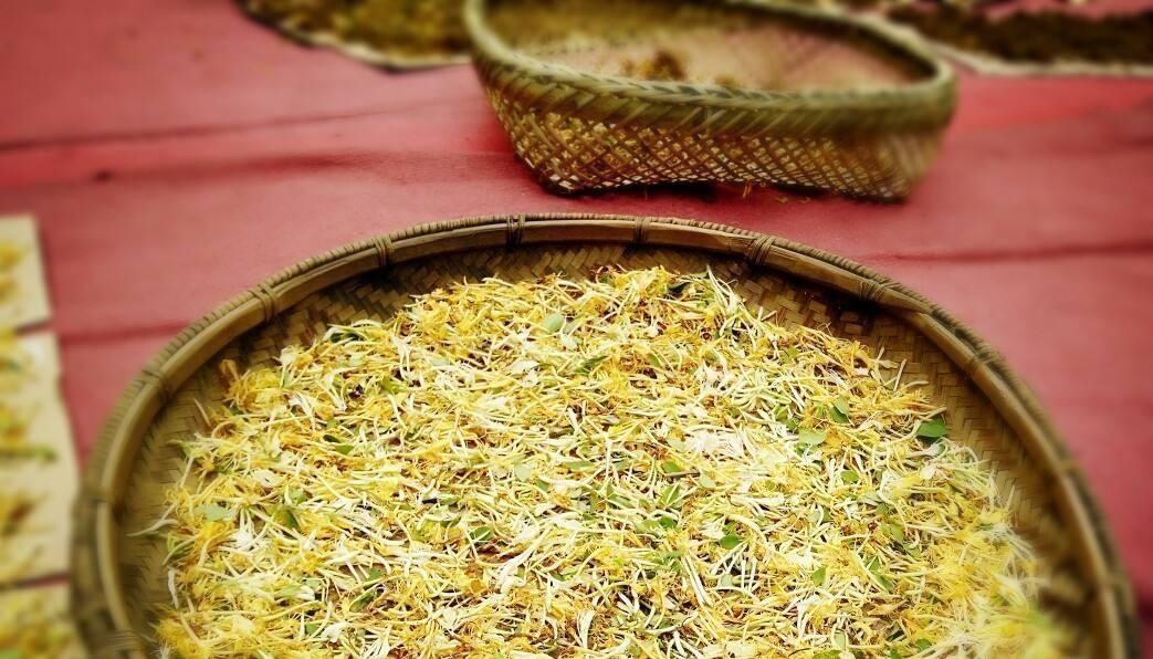 功效|黄芪和它是“天生一对”,搭配饮用,补气养血、排出肝毒