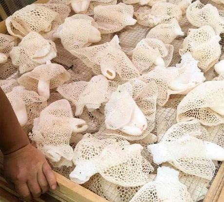 美味|中老年人少吃瓜子花生,多吃下面几样,营养美味还不贵